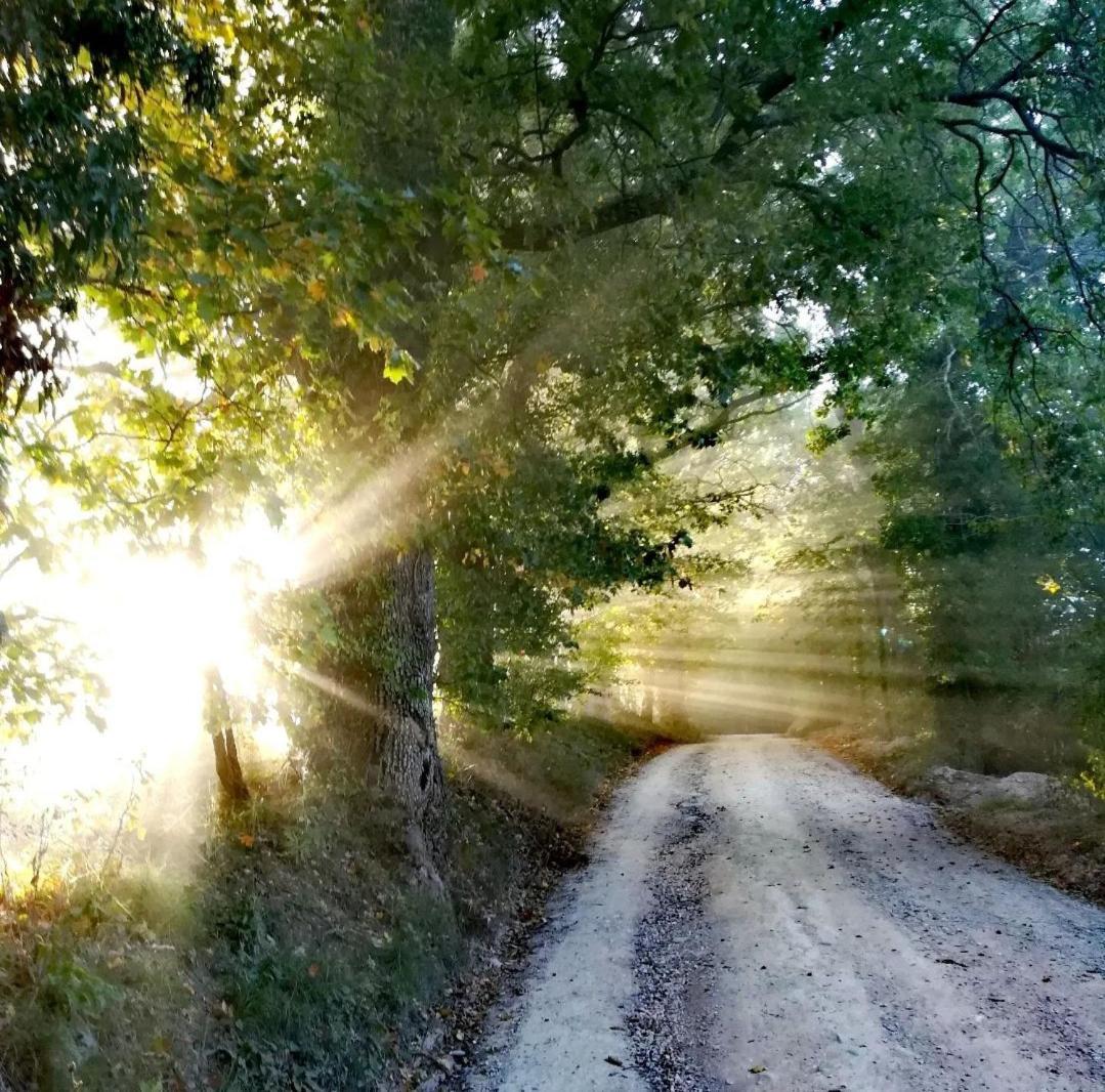La Quercia Incantata Camerino Eksteriør billede